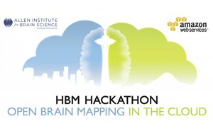 HBM Hackathon2013 news