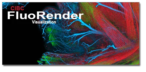 FluoRender