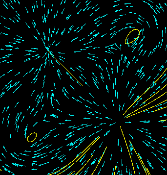 Vector Field