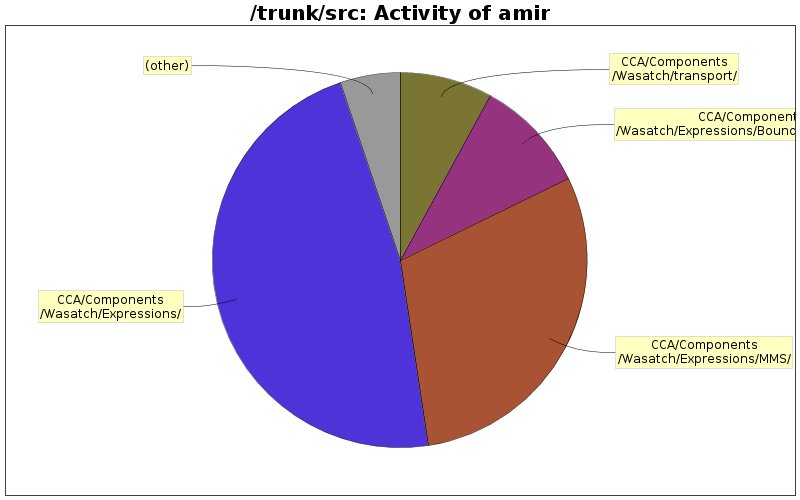 Activity of amir