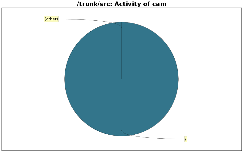 Activity of cam