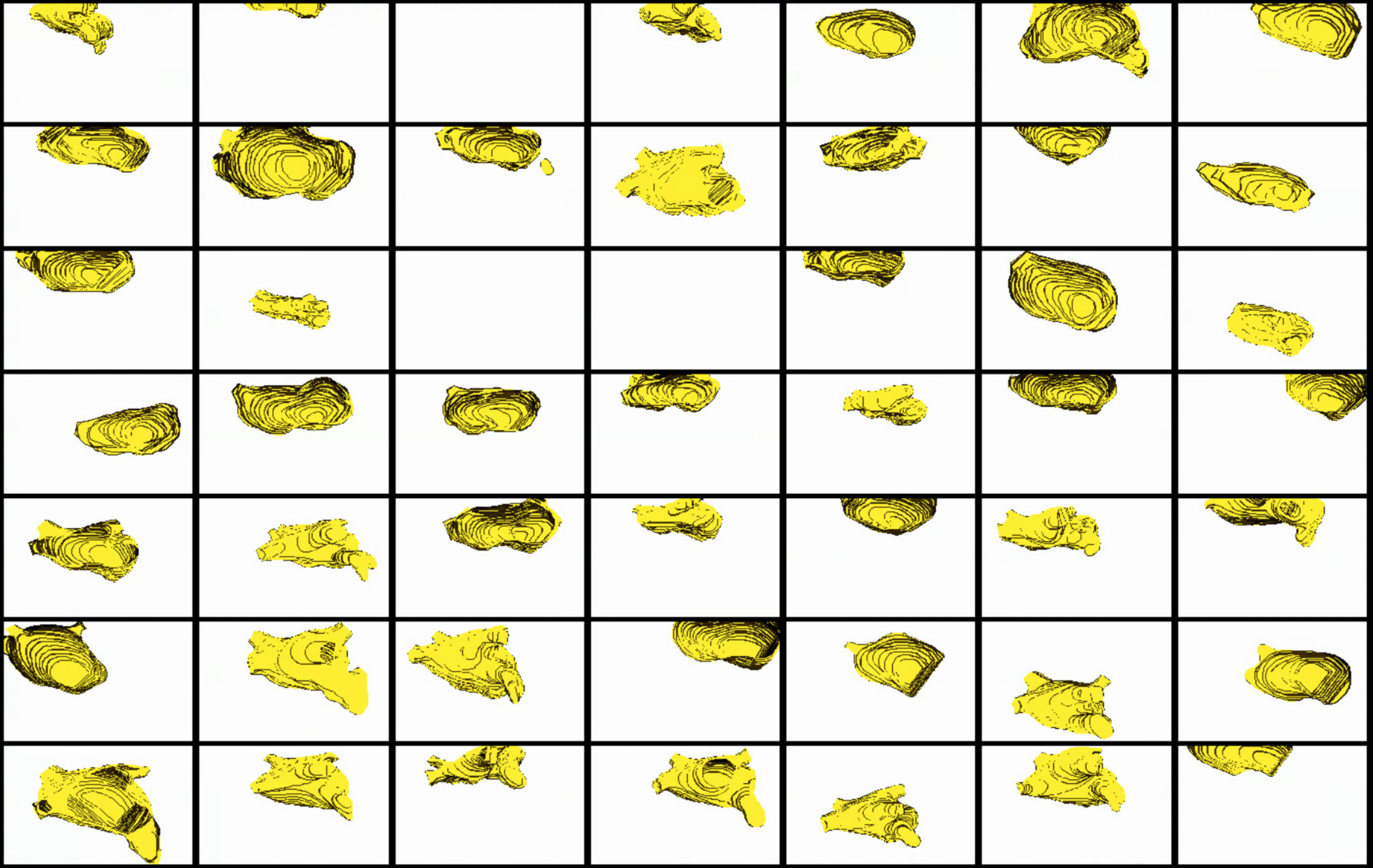 This is how the segmentations in the dataset look before grooming.
